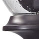 Trinity 2 Light 9 inch Oil Rubbed Bronze Outdoor Pendant