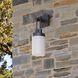 Everest 1 Light 16.5 inch Marine Grade Aged Iron Outdoor Sconce