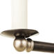 Hill Country 8 Light Darkened Bronze and Brass Accents Chandelier Ceiling Light