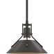 Henry 1 Light 9.2 inch Natural Iron and Dark Smoke Mini Pendant Ceiling Light in Natural Iron/Dark Smoke