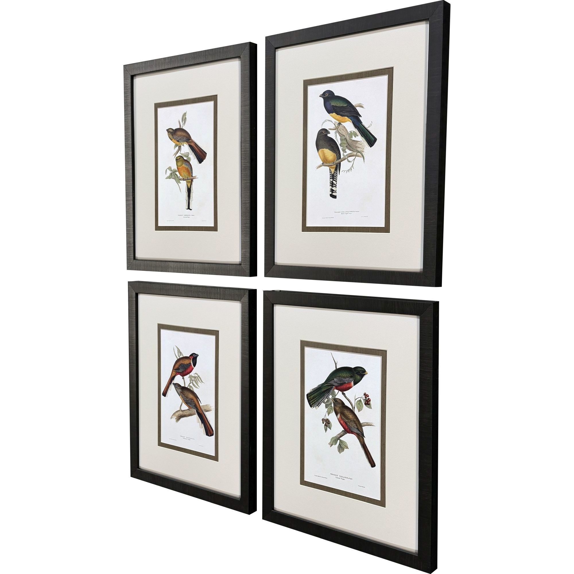 Elegant Trogons Multi and Green and Rust and Red Framed Art, Propac