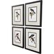 Elegant Trogons Multi and Green and Rust and Red Framed Art, Propac