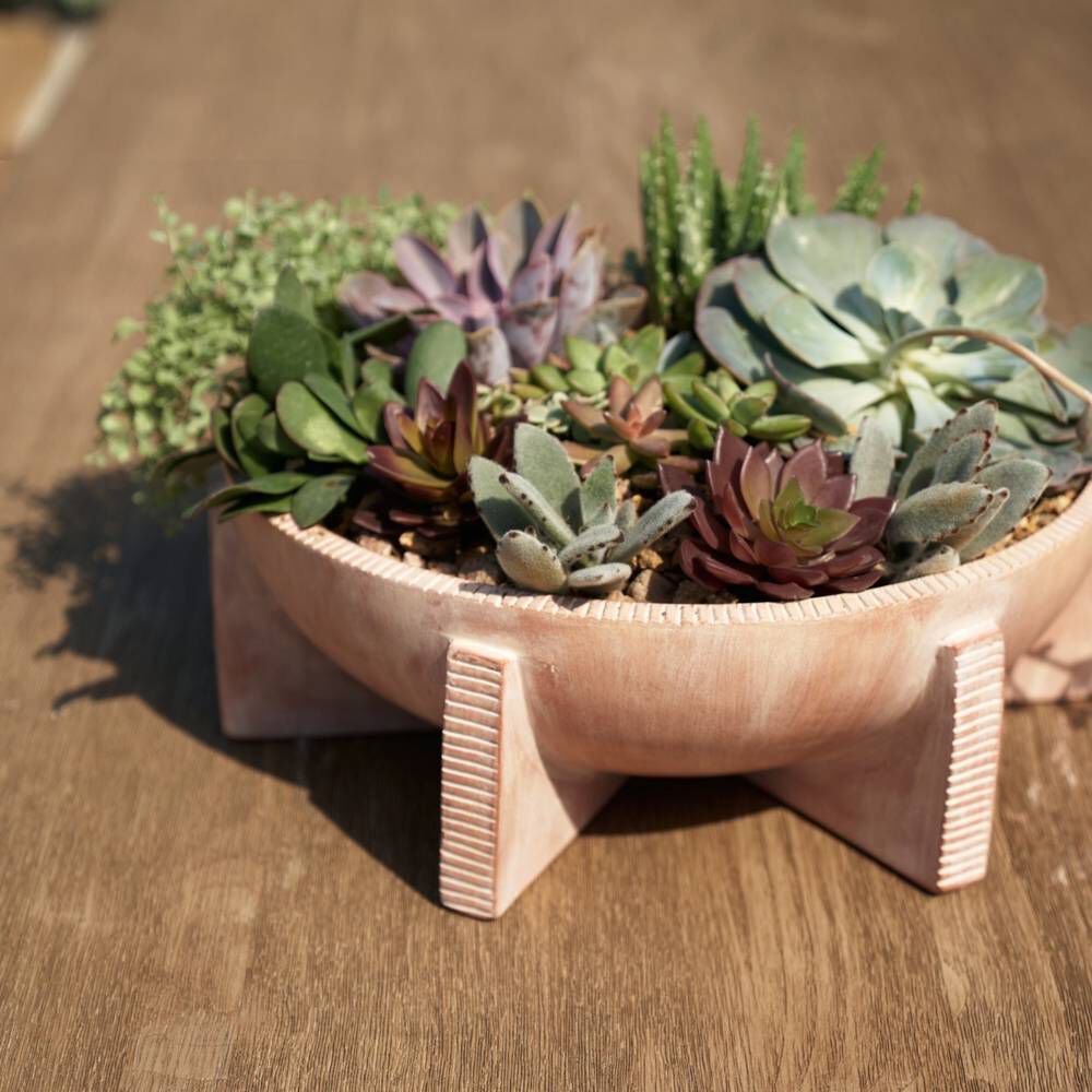 Edinburgh White Wash Planter