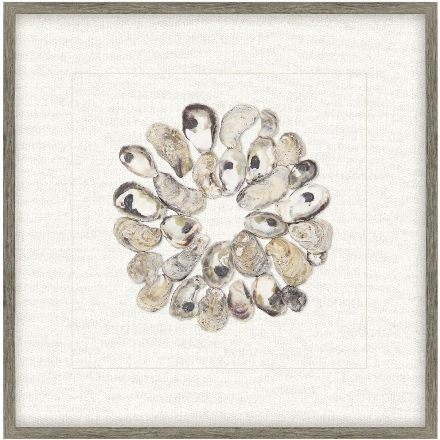 Oyster Shell Shell Series Beige and Neutral Framed Art