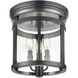 Niagara Special Edition 3 Light 11 inch Ebony Flush Mount Ceiling Light