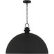 Braylon Pendant Ceiling Light