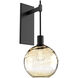 Terra 1 Light 9 inch Matte Black Indoor Sconce Wall Light in Terra Amber, Tempo