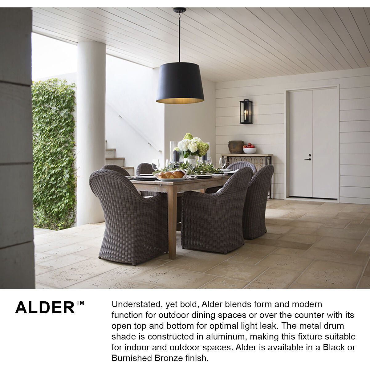 Open Air Alder 1 Light 20 inch Black Outdoor Pendant