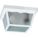 Fort Worth 2 Light 9 inch White Outdoor Ceiling Light