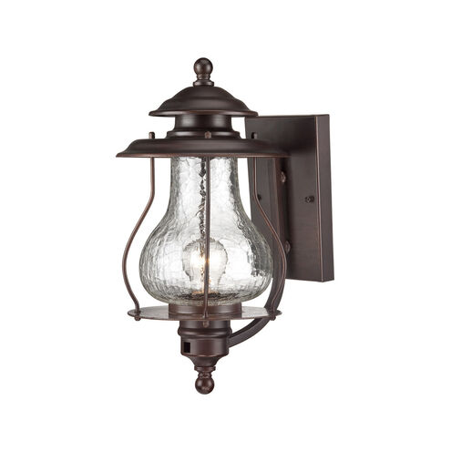 Blue Ridge 1 Light 16 inch Architectural Bronze Exterior Wall Mount
