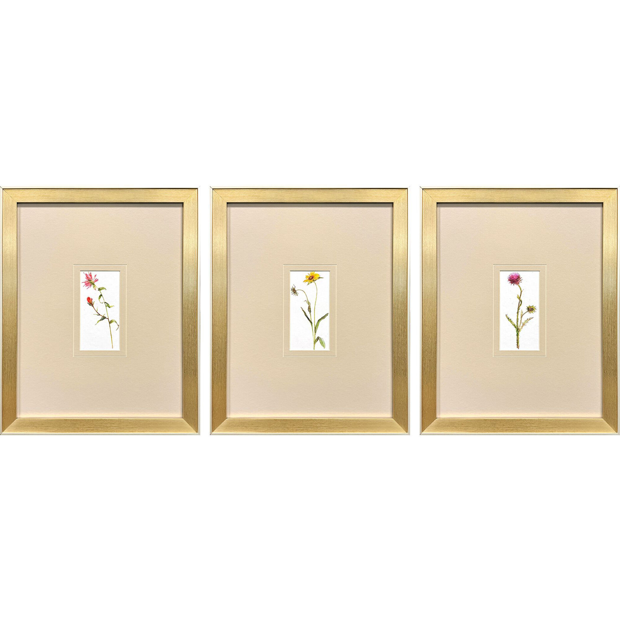 Pretty Florals Multi and Pink and Purple and Yellow Framed Art, Propac