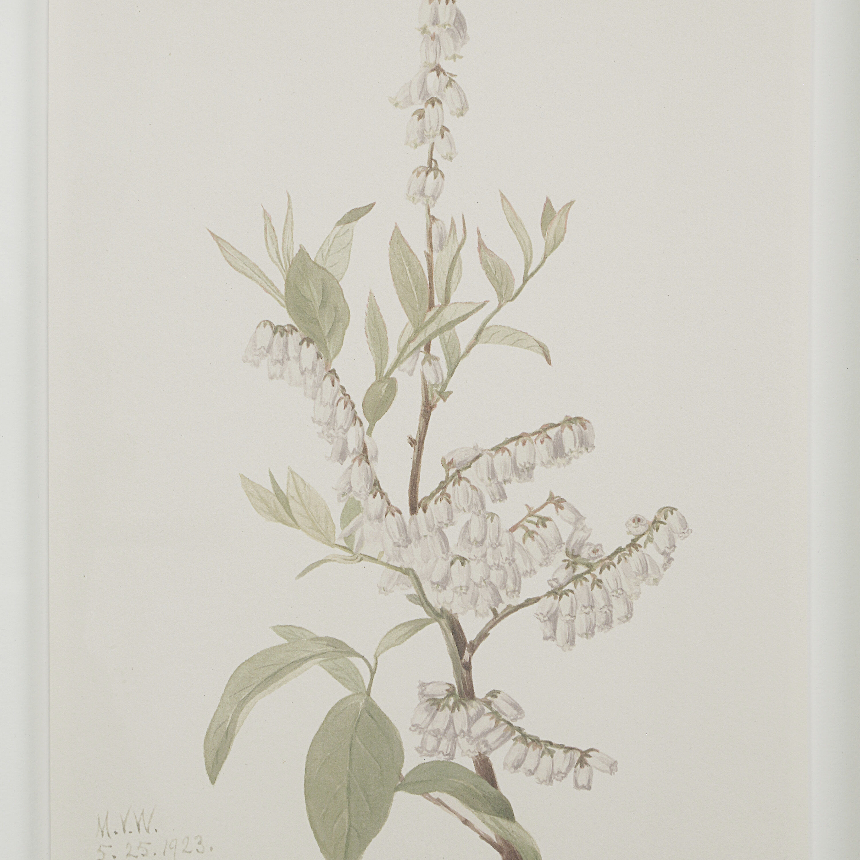 Crema 15 X 13.25 inch Printed Artworks, Set of 9