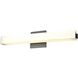 Venture CCT LED 24 inch Ebony Bath Vanity Wall Light