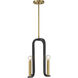 Archway 4 Light 14 inch Matte Black with Warm Brass Pendant Ceiling Light