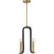 Archway 4 Light 14 inch Black with Warm Brass Accents Pendant Ceiling Light