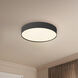 Rynn 5.25 inch Black Flush Mount Ceiling Light