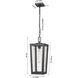 Madison 1 Light 8 inch Matte Black Outdoor Pendant in Seedy Glass