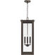 Hunt 4 Light 11 inch Oiled Bronze Outdoor Hanging Lantern