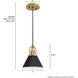 Carrington Isle 1 Light 7 inch Flat Matte Black and Luxe Gold Pendant Ceiling Light, Mini