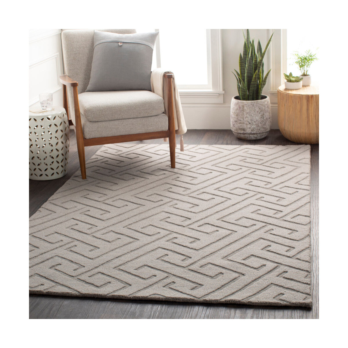 Mystique 63 X 39 inch Light Gray Rugs, Rectangle