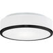 Charlie 2 Light 11.5 inch Black Flush Mount Ceiling Light