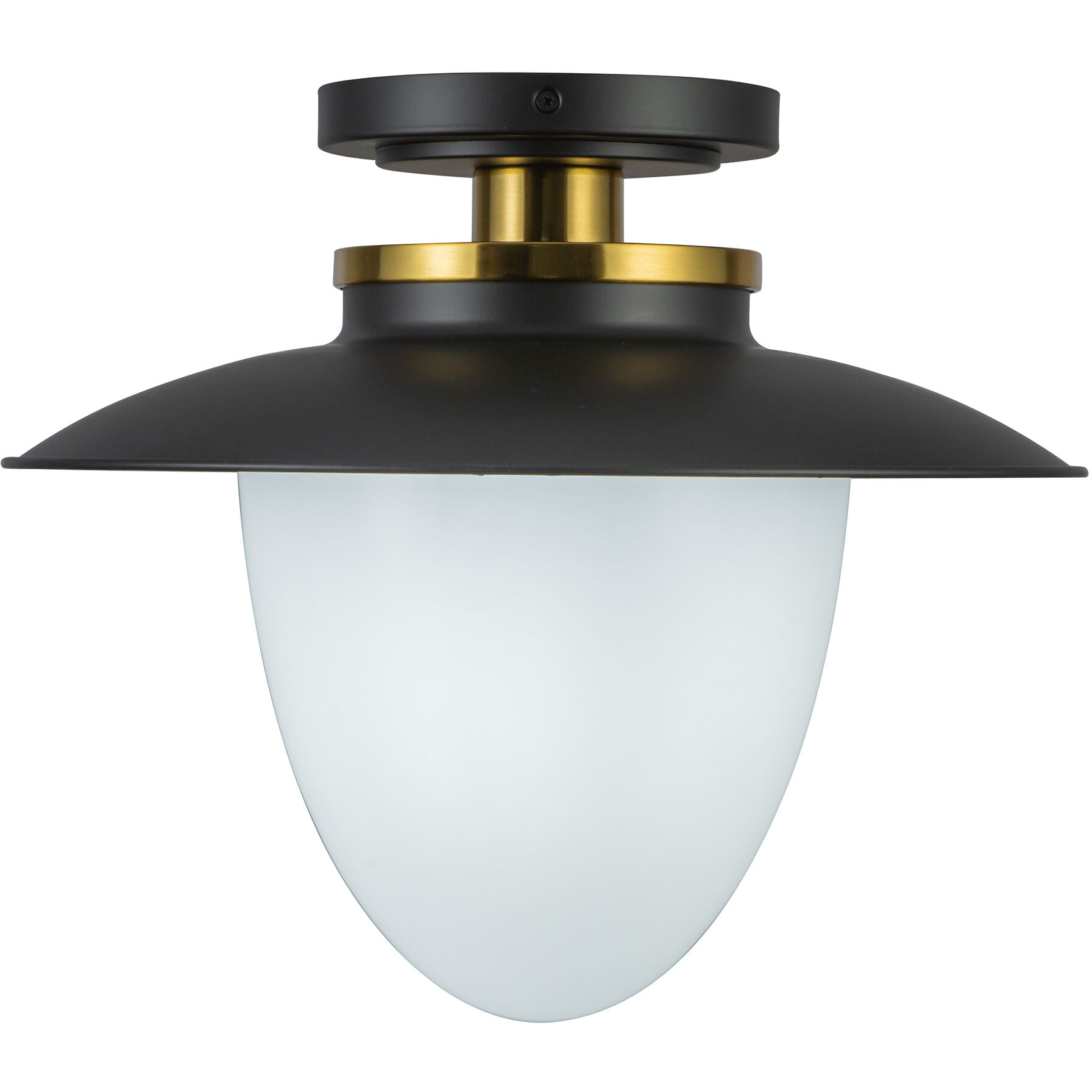 Dahlia 1 Light 15 inch Black and Brass Pendant Ceiling Light