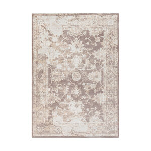 Apricity 90 X 63 inch Taupe/Cream/White Rugs, Polyester