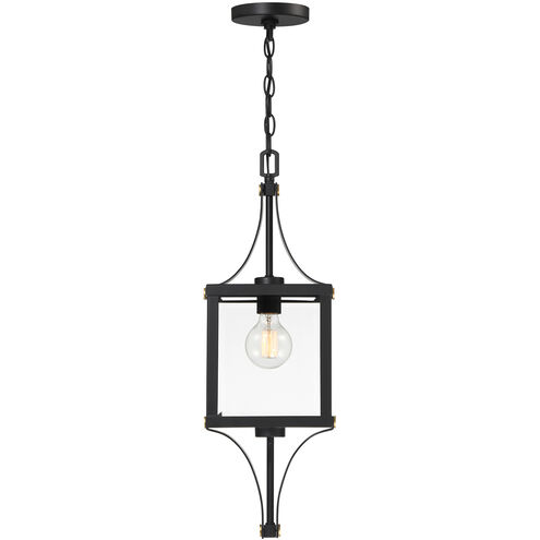 Raeburn 1 Light 8.5 inch Matte Black with Burnished Brass Outdoor Hanging Lantern