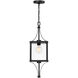 Raeburn 1 Light 8.5 inch Matte Black with Burnished Brass Outdoor Hanging Lantern