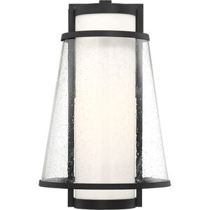 Anau 1 Light 17 inch Matte Black and Glass Outdoor Wall Lantern, Large