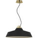 Sean Lavin Forge LED 24 inch Natural Brass Line-Voltage Pendant Ceiling Light in Nightshade Black