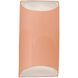 Ambiance LED 10.75 inch Gloss Blush Outdoor Wall Sconce
