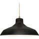 Radiance 1 Light 15.5 inch Carbon Matte Black and Antique Brass Pendant Ceiling Light