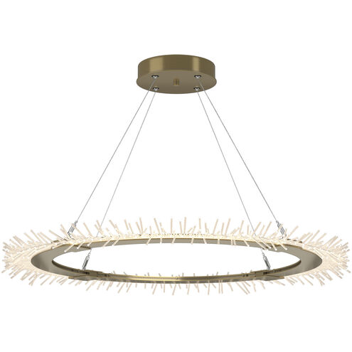 Anemone LED 36.9 inch Modern Brass Pendant Ceiling Light, Circular
