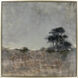 Floresta Brown Framed Art