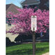 Hillcrest 3 Light 20 inch Polished Chrome Outdoor Post Top Lantern