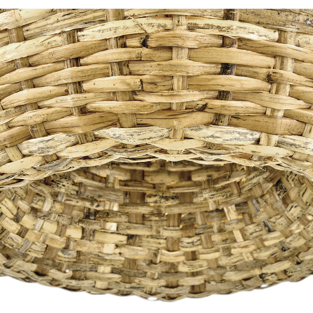 Sanibel 3 Light 16 inch Lacquered Brass with Natural Convertible Pendant Ceiling Light