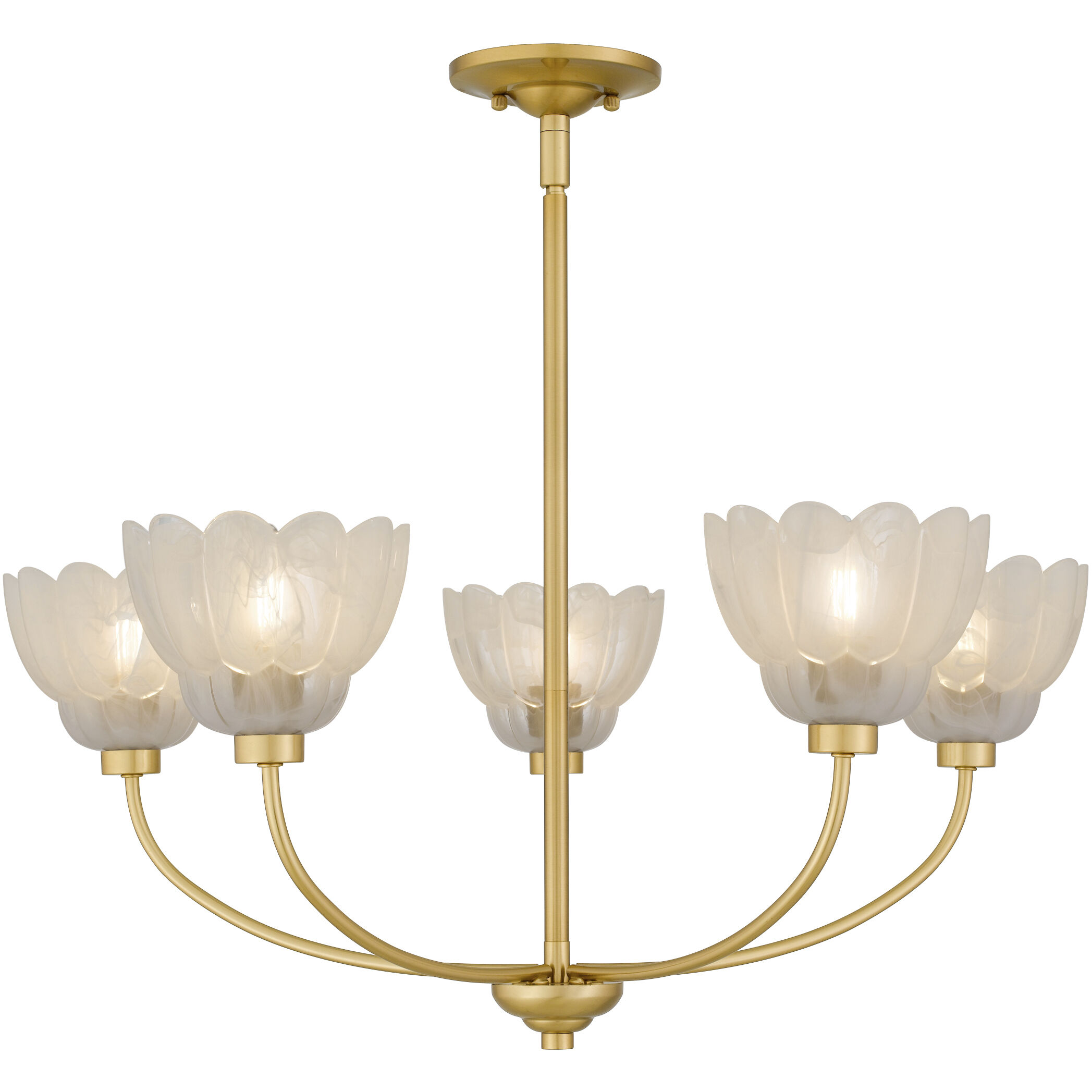 Whitecap 5 Light 28 inch Brushed Gold Chandelier Ceiling Light
