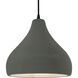 Radiance 1 Light 13.5 inch Pewter Green and Matte Black Pendant Ceiling Light