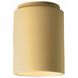 Radiance LED 6.5 inch Muted Yellow Outdoor Flush Mount