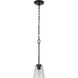 Neighborhood Tyler 1 Light 6 inch Flat Black Mini Pendant Ceiling Light in Clear Seeded, Neighborhood Collection