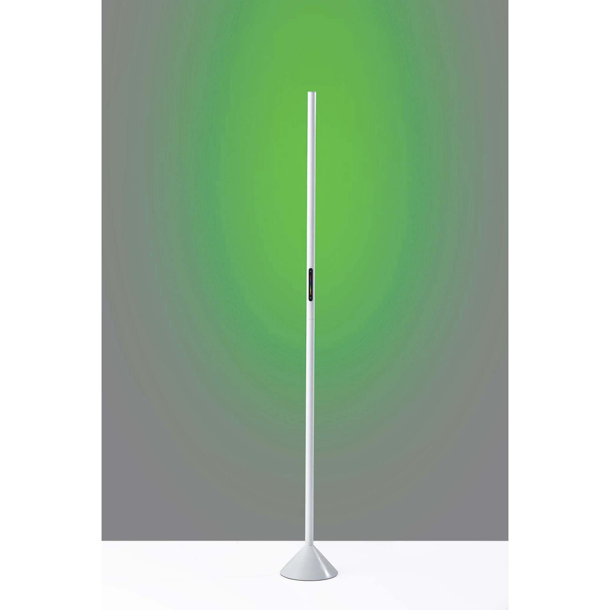 Cole 58 inch 12 watt Matte White Color Changing Wall Washer Floor Lamp Portable Light, Simplee Adesso