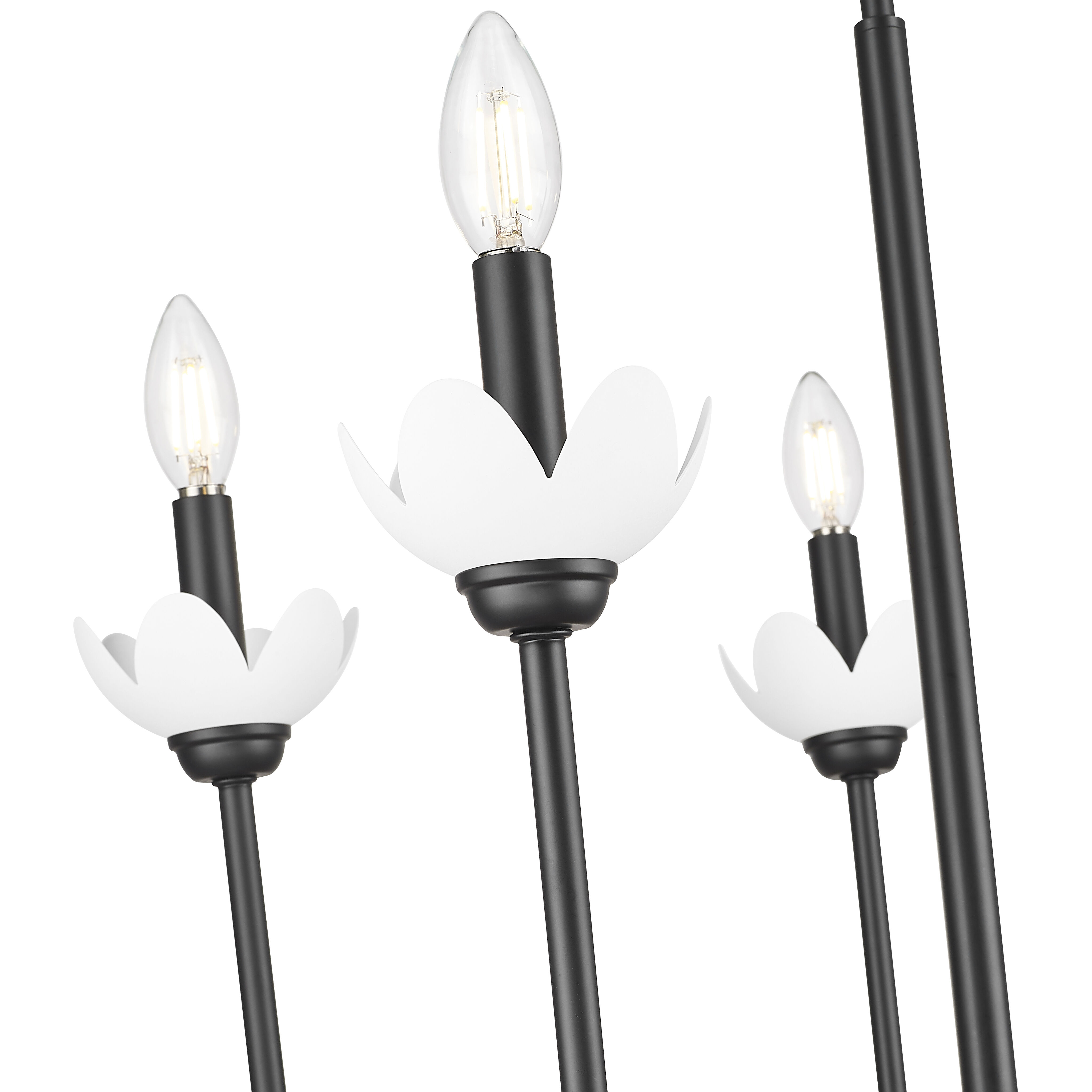 Allistair 5 Light 24 inch Matte Black Chandelier Ceiling Light