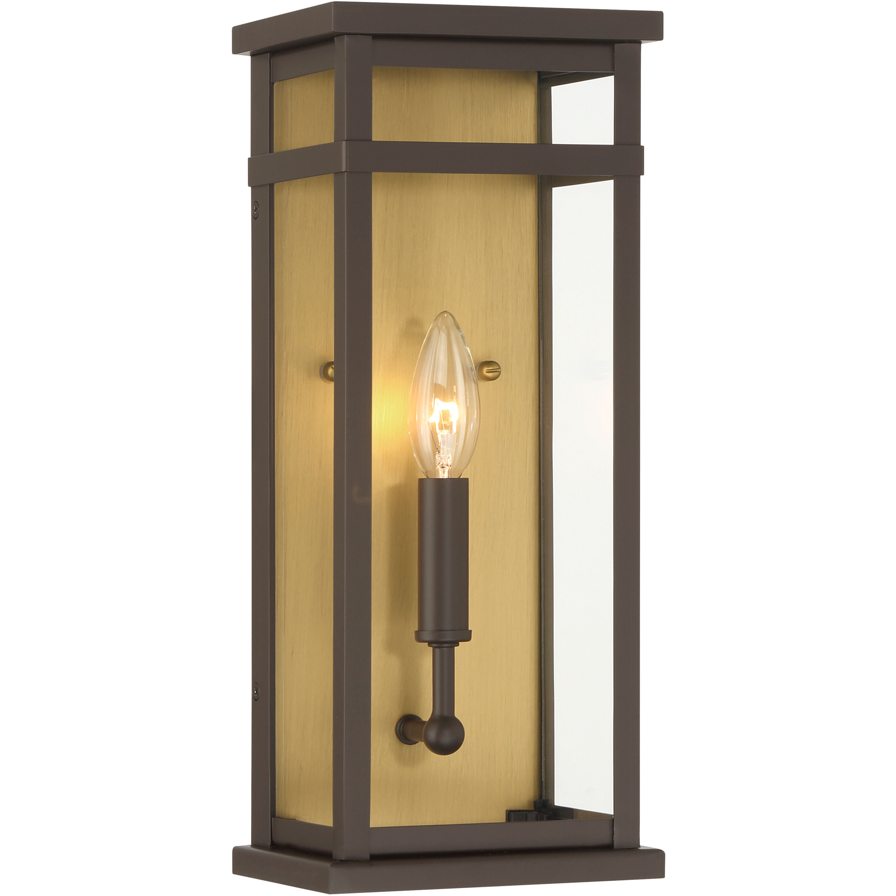 Briarlane 1 Light 14.5 inch Painted Legacy Brass and Dark Bronze Outdoor Wall Sconce
