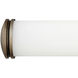 Remi LED 24 inch Champagne Bronze Vanity Light Wall Light, Vertical