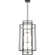 Titania 12 Light 20 inch Black and Brushed Nickel Chandelier Ceiling Light