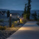 Standup 12 Bronze Path and Area Light, Colorscaping