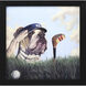 Animals 11 X 11 inch Non-Glass Framed Art, Propac