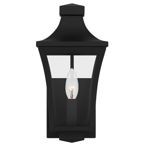 Quentin 1 Light 12 inch Earth Black Outdoor Wall Lantern, Small