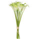 Calla Lily Green Floral DTcor in Cream/Green